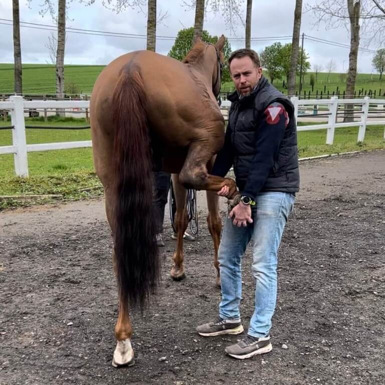 Bert Over ons