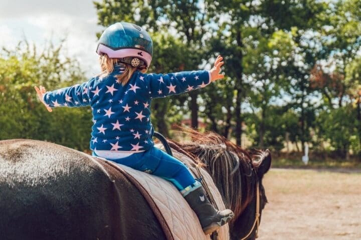 paard aankopen Over ons