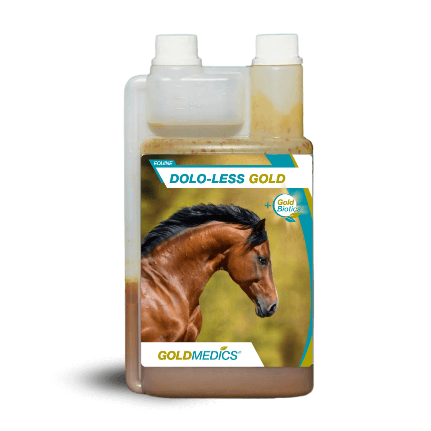 Dolo-Less Gold: natuurlijke pijnstiller voor paarden