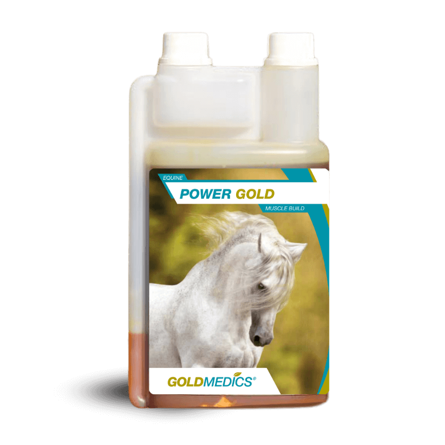 Power Gold van GoldMedics